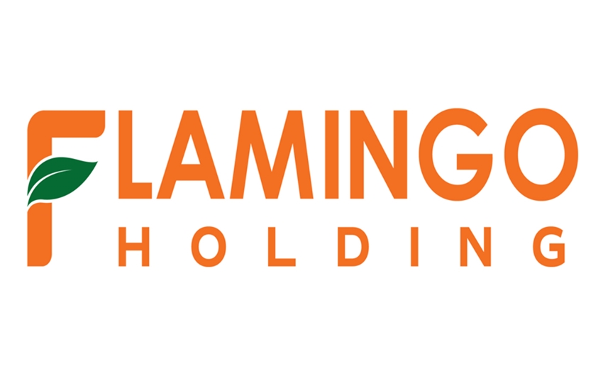 Chủ đầu tư Flamingo Group